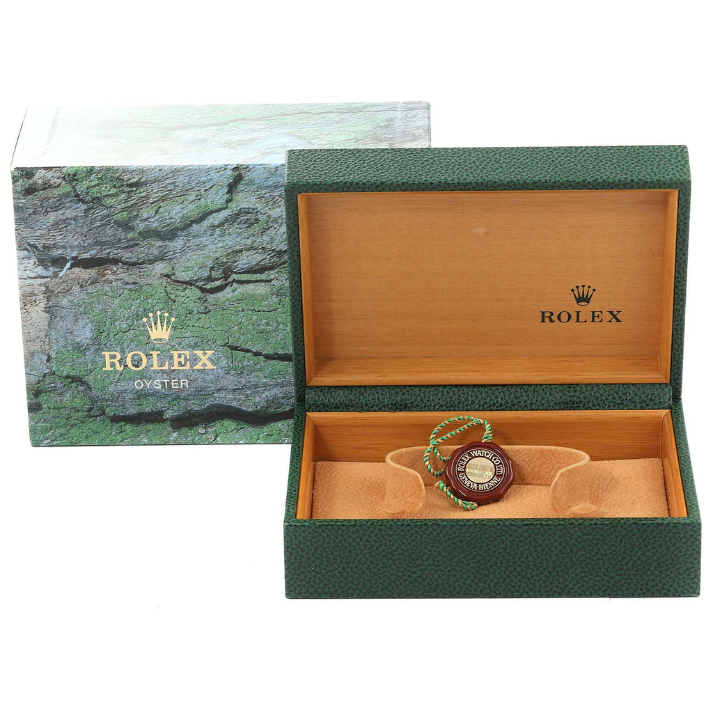 Rolex Seadweller Automatic Steel Frosted Dial Vintage Mens Watch 16660
